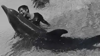 Жена имаше връзка с делфин, ето как правили секс