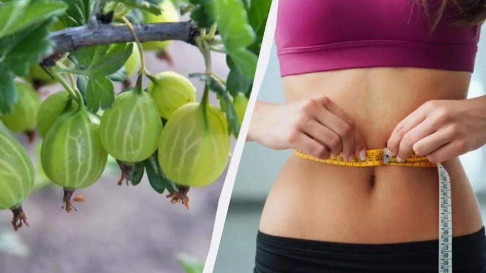 Цариградското грозде – плодът, който регулира кръвната захар и помага при отслабване