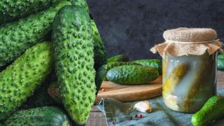 Зимнината е вкусна: класически и бързи рецепти за кисели краставички