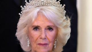 От една от най-мразените жени в Англия до кралица: 9 емблематични снимки на Камила