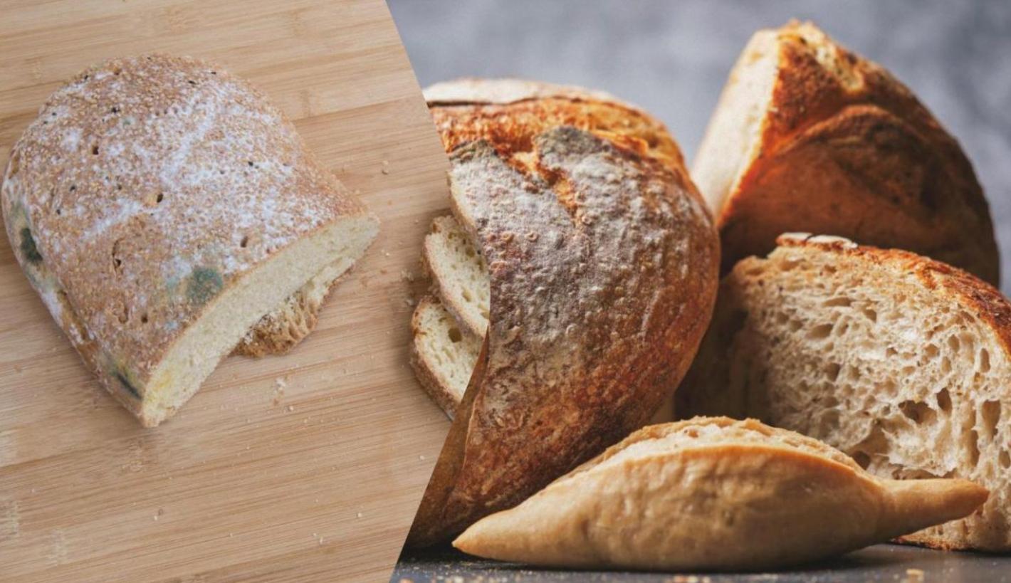 Хлябът мухлясва бързо? Ето как да го съхранявате правилно