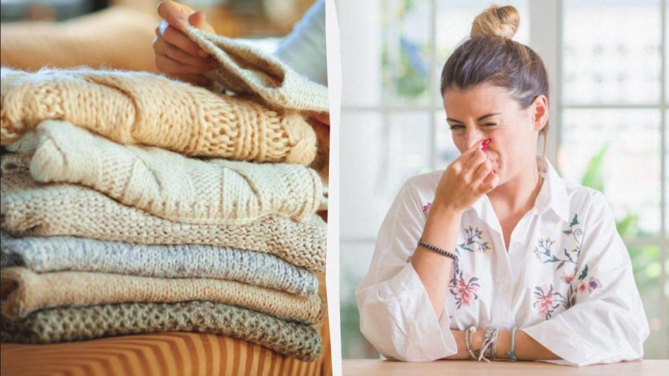 Дори старият гардероб няма да мирише на мухъл: Ето как да решите проблема за минута