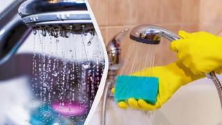 Главата на душа ще стане като нова: 2 евтини продукта ще я почистят до блясък