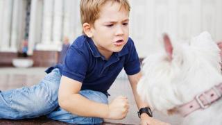 Родителският кошмар: Тези черти от характера издават бъдещ престъпник