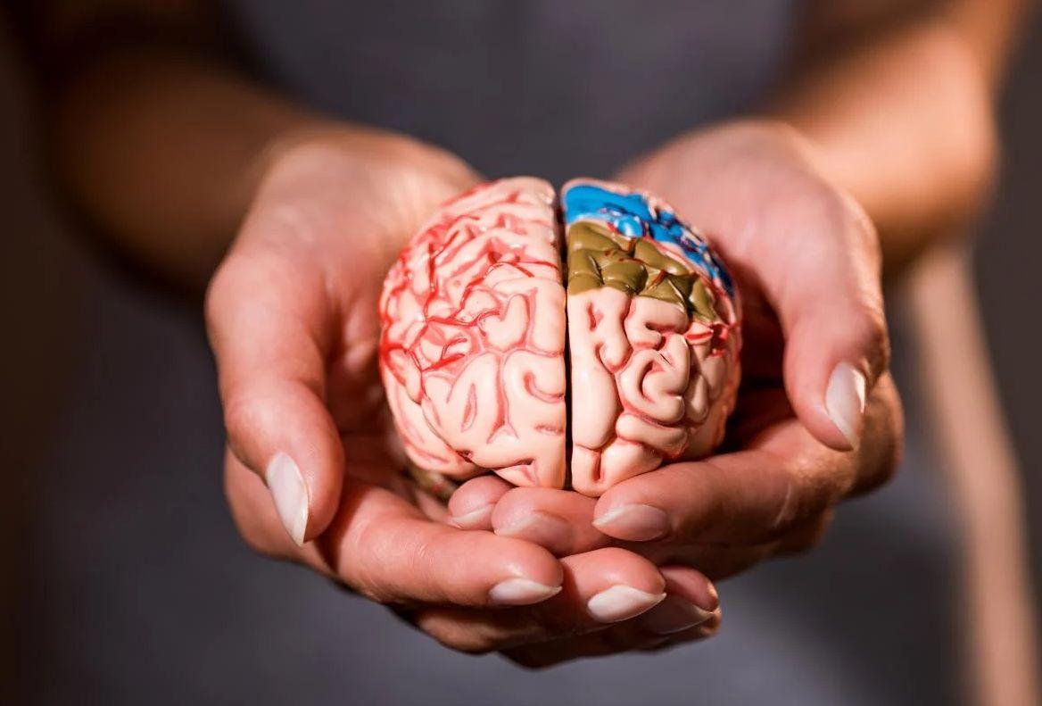 Гроздето – плодът, който лекува мозъка, сърцето и червата