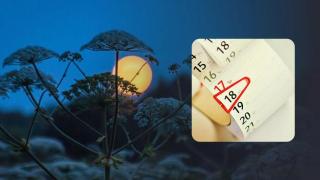 Хората, родени в тези дни, идват в живота ви с причина