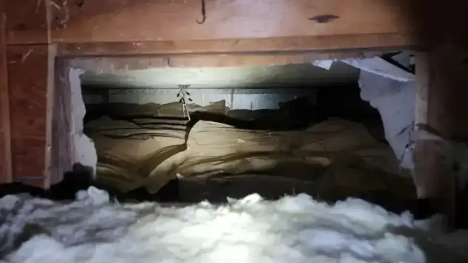 Разровете тавана! Момиче намери стар предмет на баба си, днес струва до 3000 лева