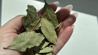 Ето защо умните домакини слагат дафинов лист в захарницата