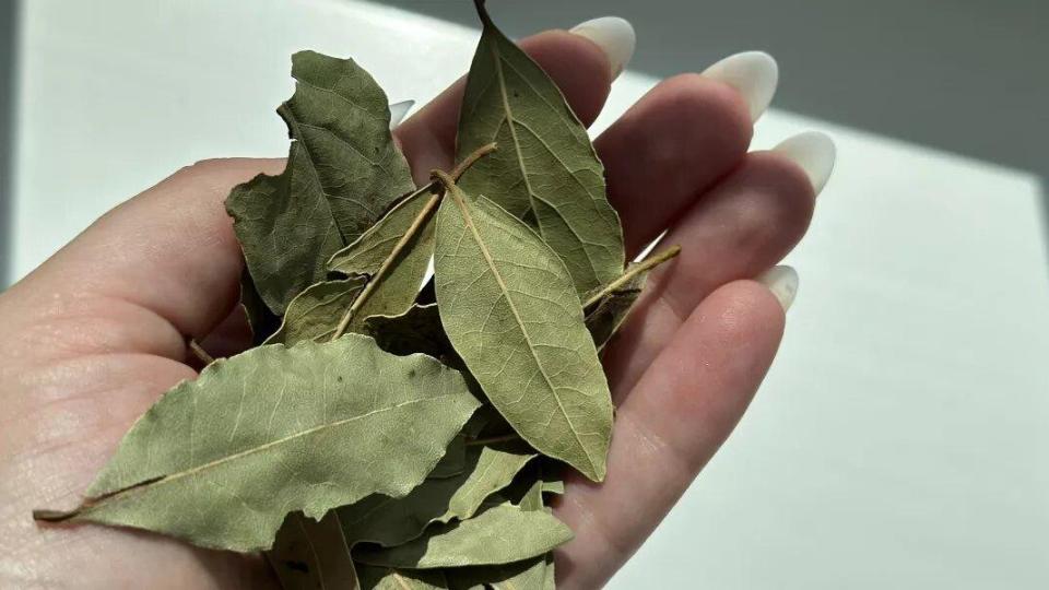 Ето защо умните домакини слагат дафинов лист в захарницата