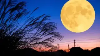 Луната, която променя съдби: Животът на 3 зодии се променя до неузнаваемост