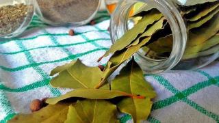 Умните домакини винаги слагат по 1 дафинов лист в хладилника и 1 под него