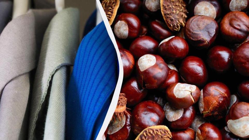 Хитър трик: Защо всички слагат кестени в гардероба си