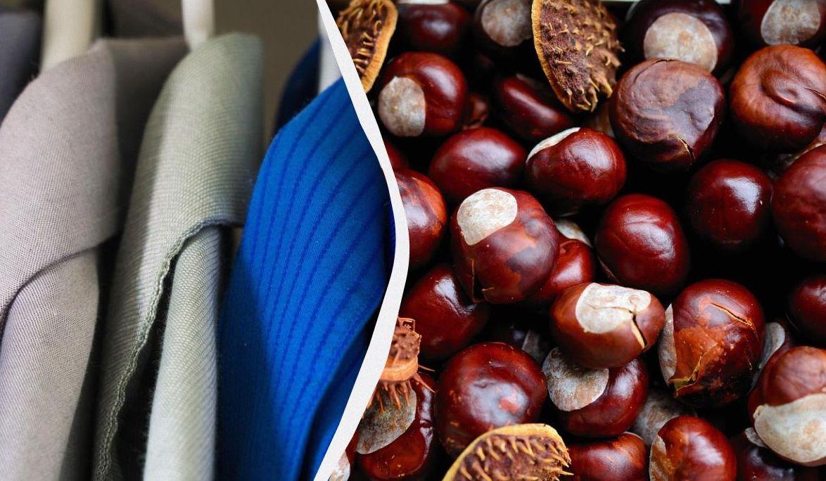 Хитър трик: Защо всички слагат кестени в гардероба си