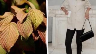 Ретро клинове от 80-те отново са хит