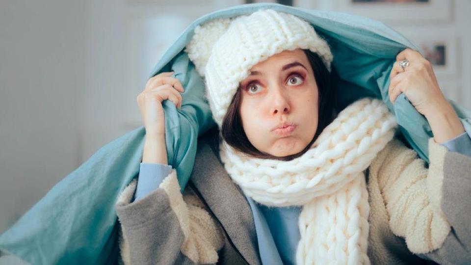 Как да се стоплите у дома, без да увеличавате сметката си за отопление?