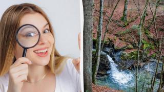 Истински гений сте, ако намерите катерицата на снимката за 9 секунди