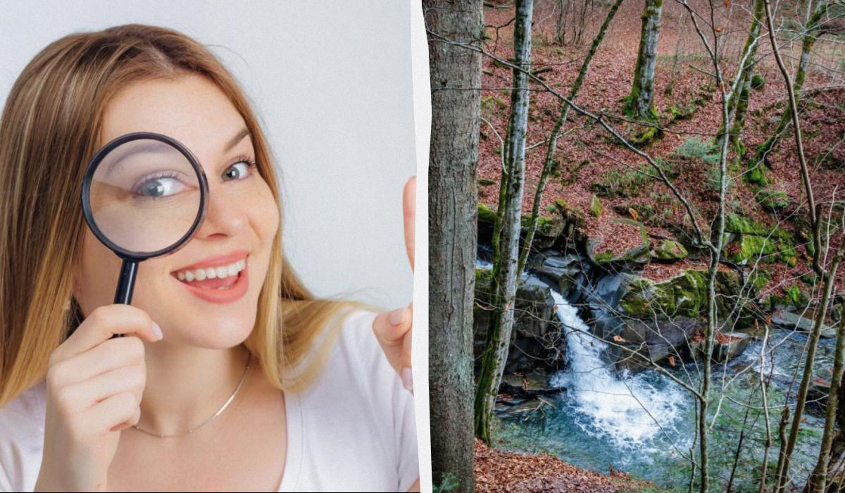 Истински гений сте, ако намерите катерицата на снимката за 9 секунди