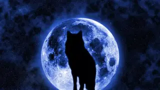 Идва Вълчата луна, небето ще е по-светло от всякога през зимата