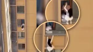 Като на филм: Жена вися от 10-ия етаж, за да не я хване съпругата на любовника й! Видео