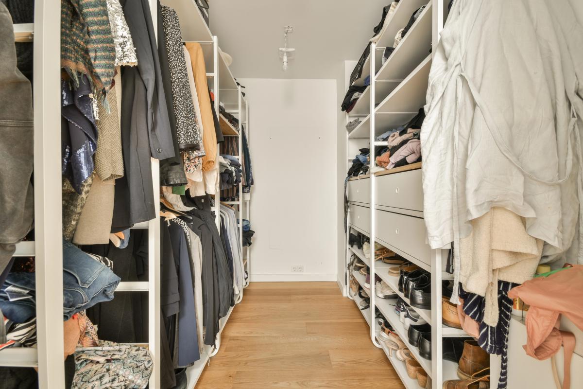 Зебровият принт е новият хит в модата за 2026 г.