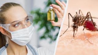 Учени откриха нов репелент против комари, който отблъсква вредителите