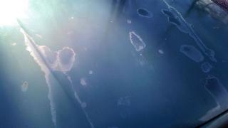 Разкриха тайната как горещините унищожават покритието на вашия автомобил