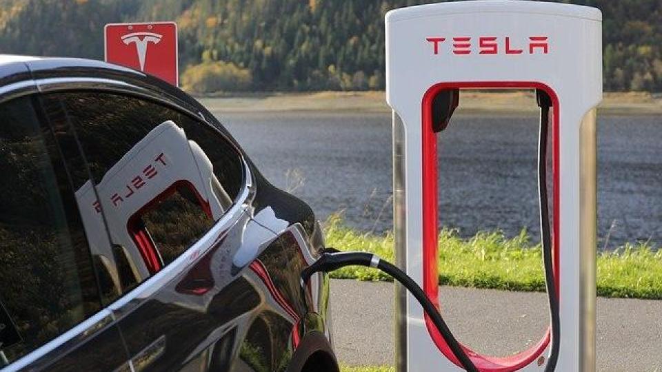 Скочиха на Tesla: Илон Мъск подкрепял геноцида над мюсюлманите