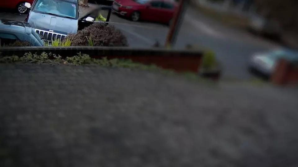 Куче открадна  Jeep Cherokee и предизвика катастрофа ВИДЕО