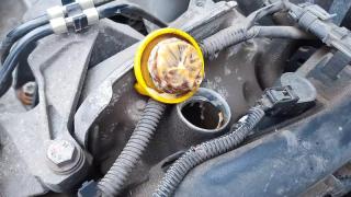 Защо през зимата колата ви спира да гори масло? Причината е удивителна