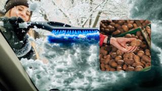 Защо автоексперти съветват шофьорите да търкат предните си стъкла с картофи ВИДЕО