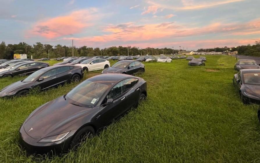 Откриха стотици чисто нови коли Tesla, паркирани в поле СНИМКИ