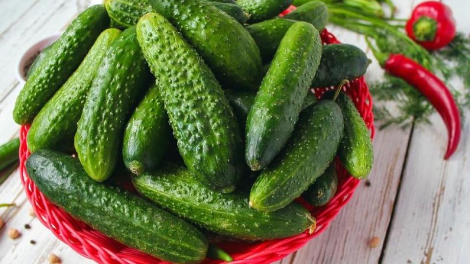 Ето как прясната краставица помага на шофьорите през зимата