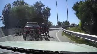 Престъпници нападнаха шофьор на пътя, но веднага съжалиха 18+