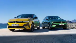 Opel крие акули в колите си повече от 20 години по молба на дете