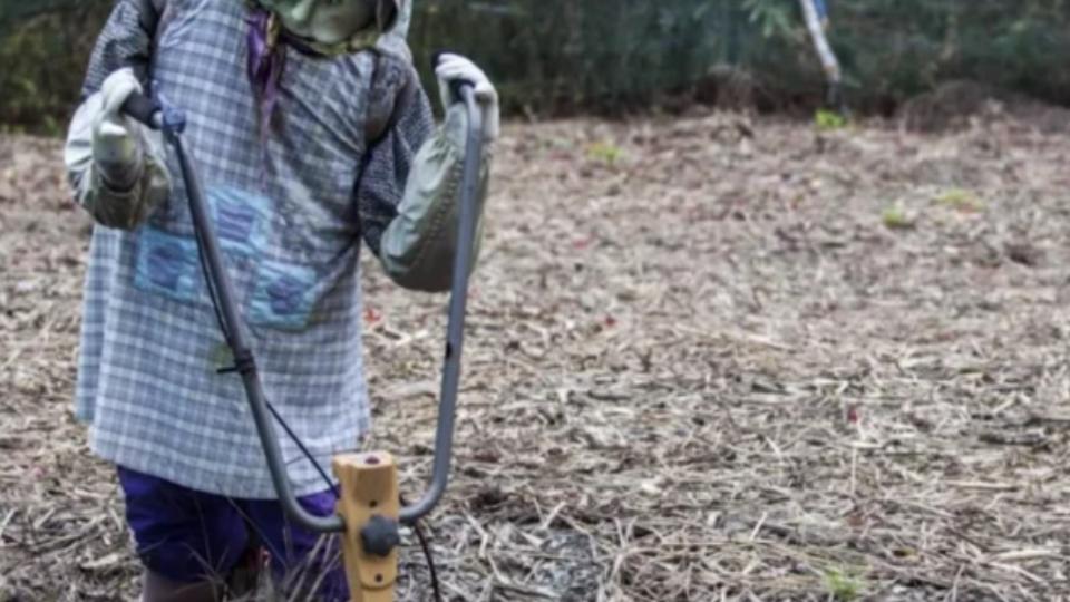Повече от странно и доста зловещо. Почти всички жители на това село са... кукли