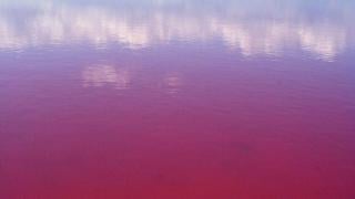 „Българското Червено море“ – най-голямото безплатно СПА на открито у нас СНИМКИ