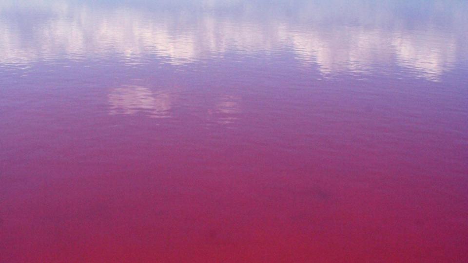 „Българското Червено море“ – най-голямото безплатно СПА на открито у нас СНИМКИ