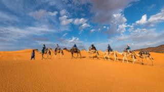 Изумителни факти за туарегите, чиито мъже получават само една камила след развода