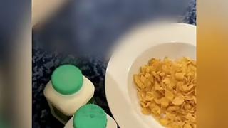 Туристи с ужасяващ разказ за охлюви и мухлясала храна в карантинен хотел
