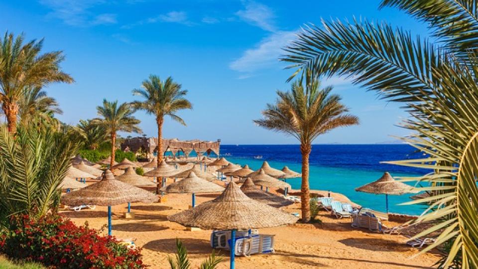 Край на спекулациите: Защо Шарм ел Шейх е страхотен курорт