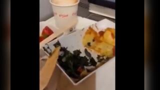 Ужасяващо ВИДЕО: Стюардеса откри глава на змия в храната в самолет