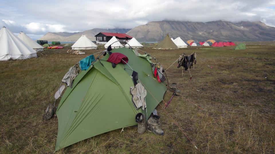 Полярен звяр влезе в лагер на туристи и стана страшно
