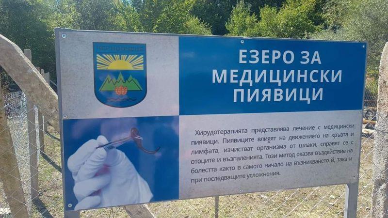 Езеро с пиявици в Родопите лекува главоболие, ревматизъм и високо кръвно