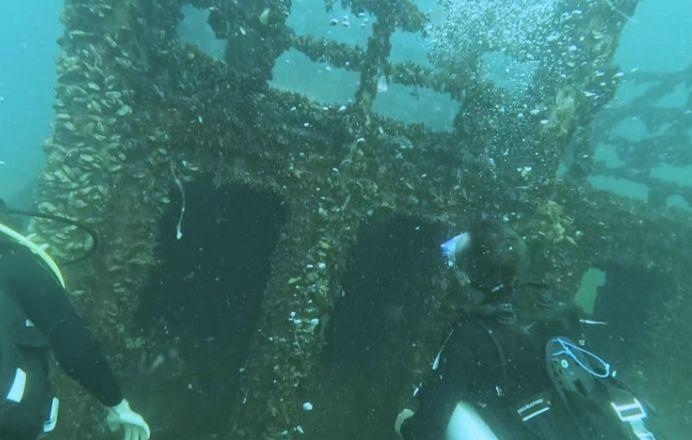 Уникална атракция у нас 16 години тегли хора към морето