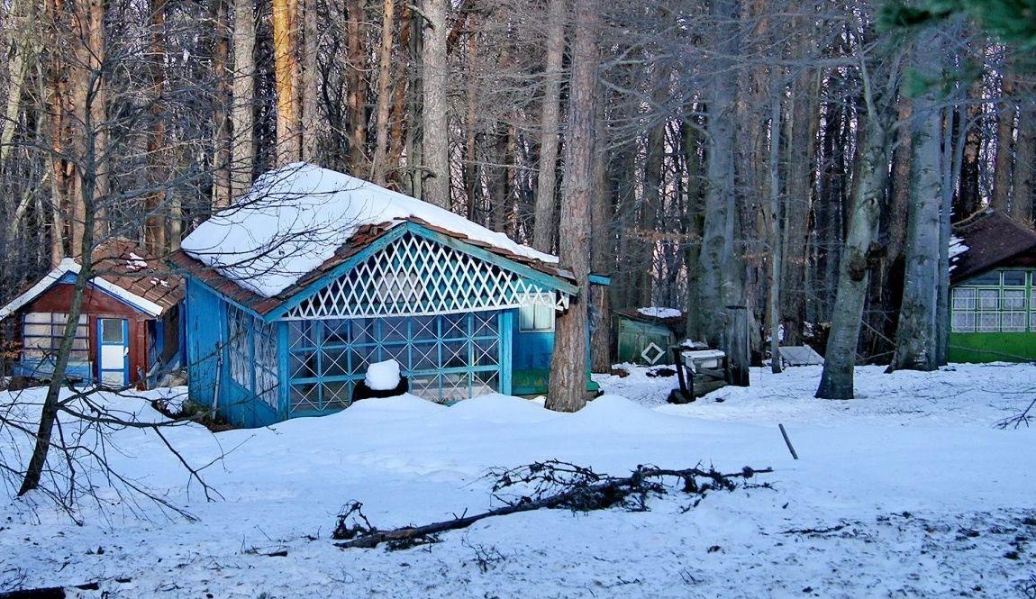 Вили и къщи за гости никнат като гъби до тези писти в Пловдивско