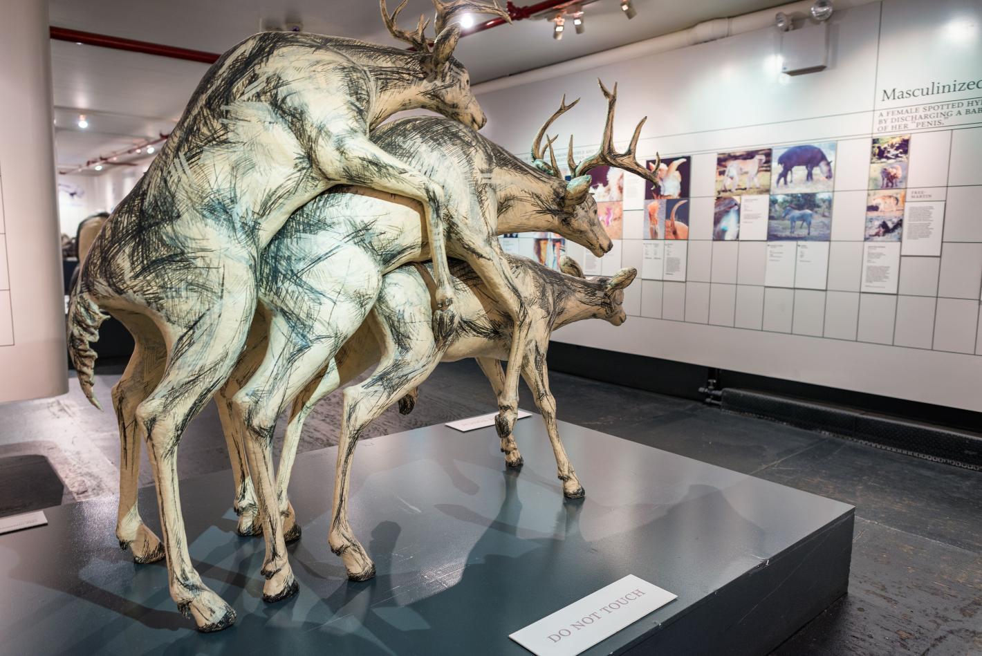 8 интригуващи музея на секса по света, които да посетите 18+