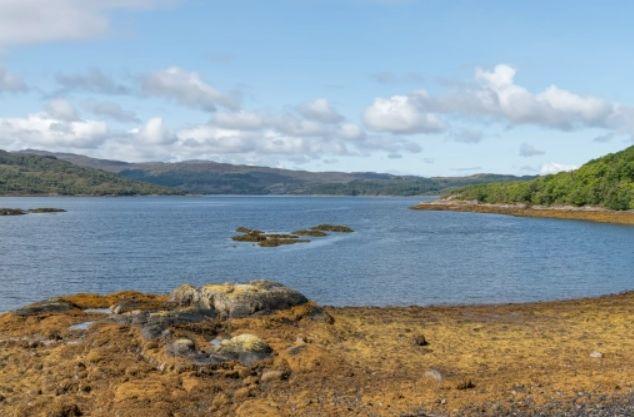 Остров, криещ зловеща тайна, е обявен за продан