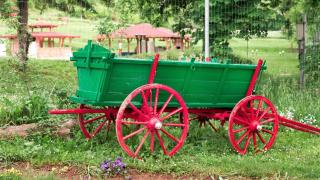 Невиждан наплив за българска красота, най-много се оказаха румънците