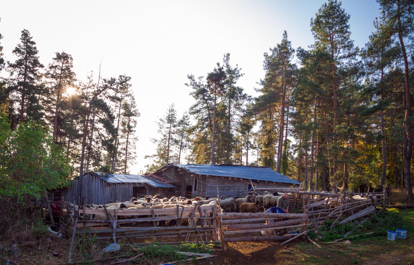 500-годишно село у нас с изненадваща модерна придобивка