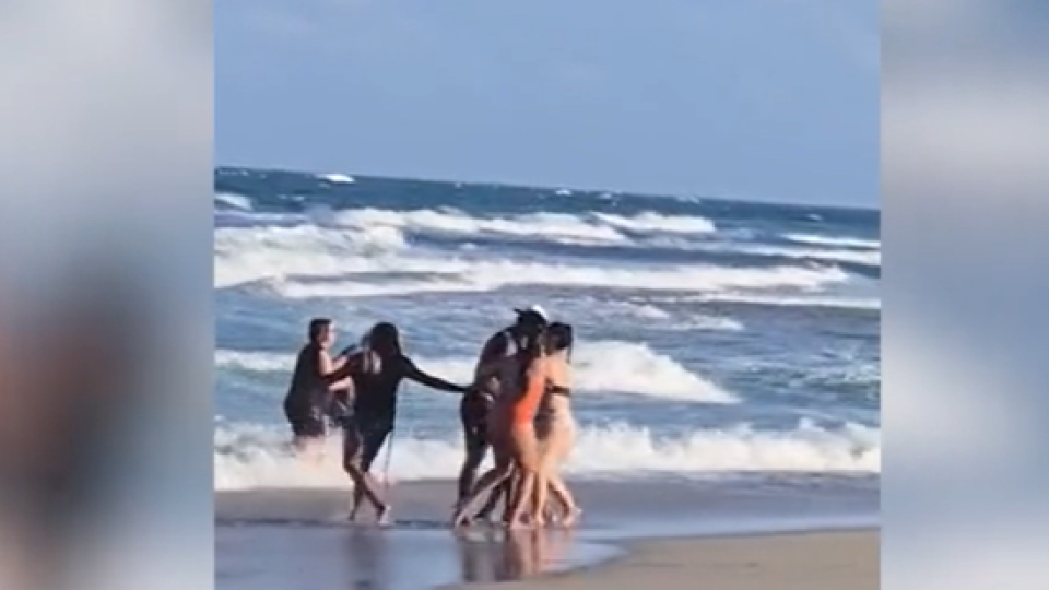 Турист спаси удавник в морето и стана герой ВИДЕО
